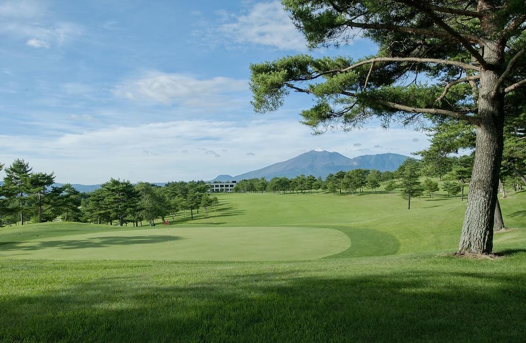 Tsumagoi Prince Hotel Bagian luar foto
