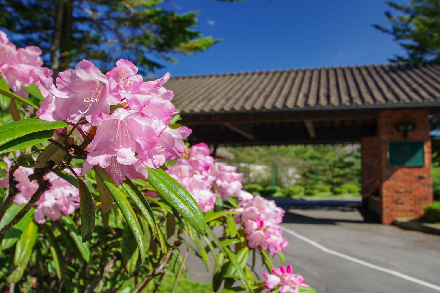 Tsumagoi Prince Hotel Bagian luar foto